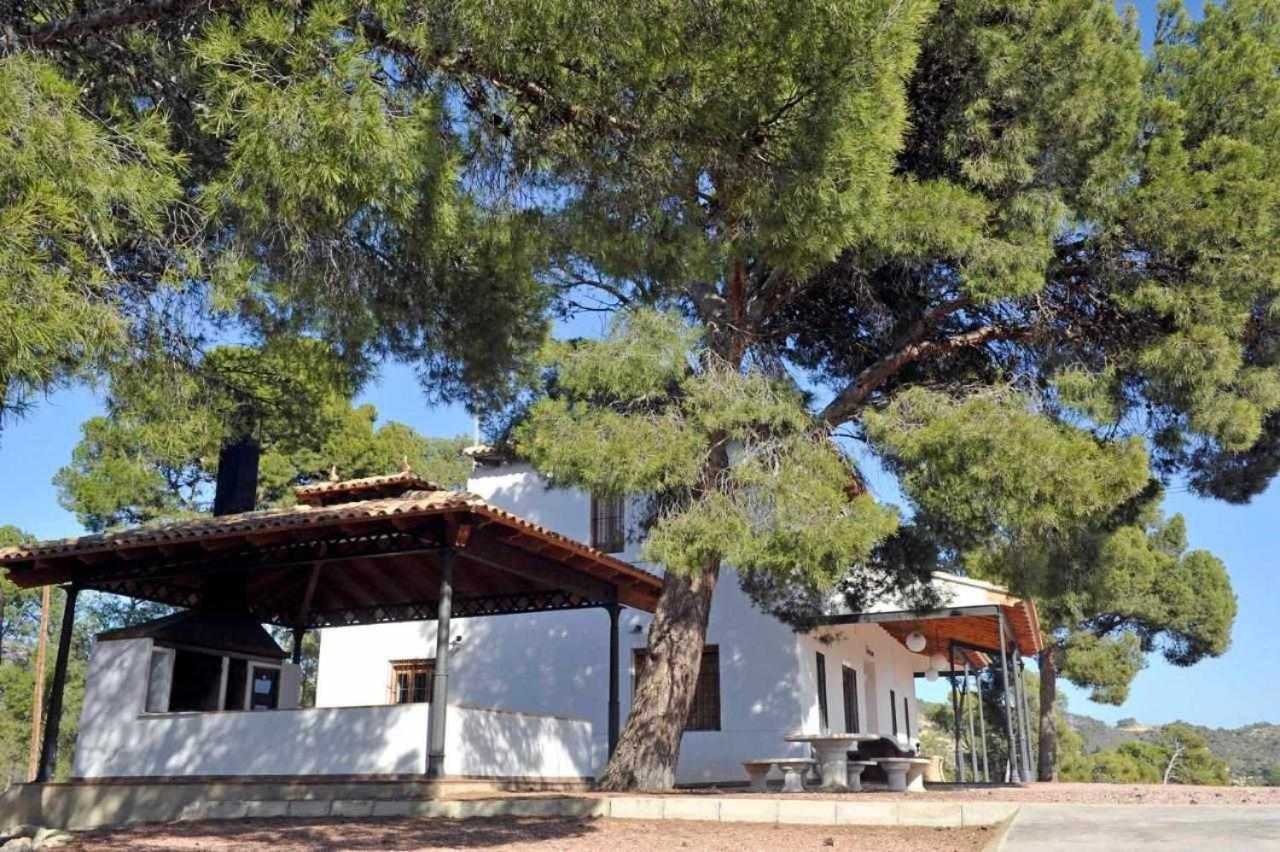Bonaire Alicante